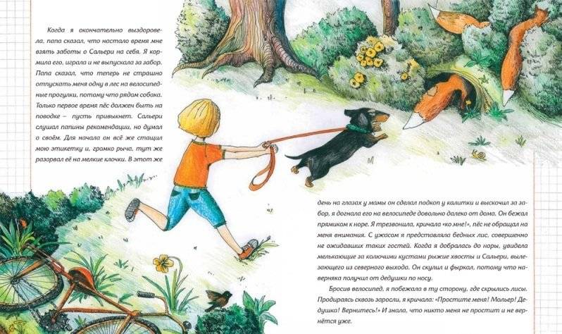 Мольер, Моцарт и Пикассо из лисьей норы фото книги 7