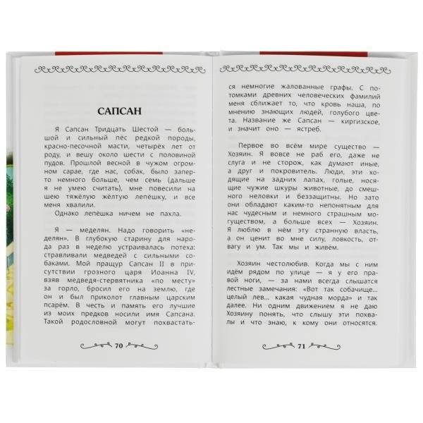 Белый пудель и другие рассказы. Внеклассное чтение фото книги 2