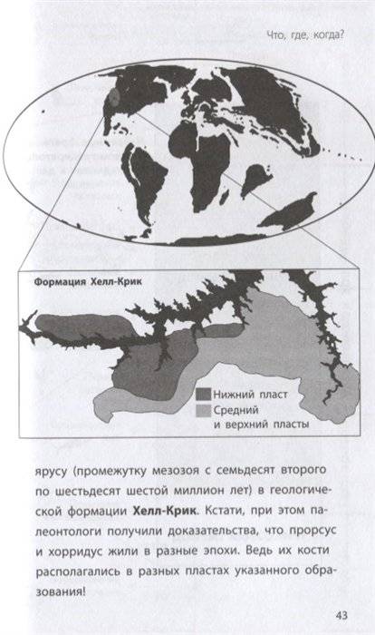 Трицератопс фото книги 2
