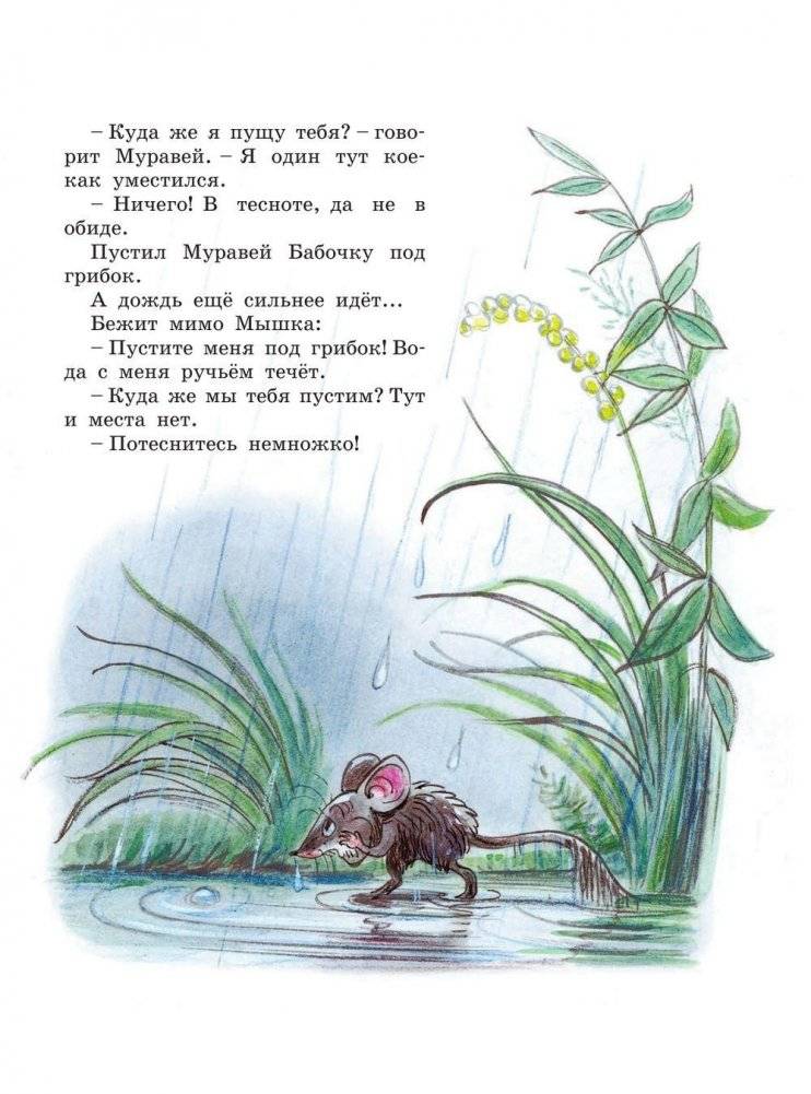 Книга сказок В. Сутеева фото книги 10
