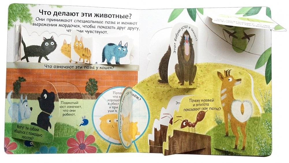 40 окошек. Как говорят животные фото книги 3