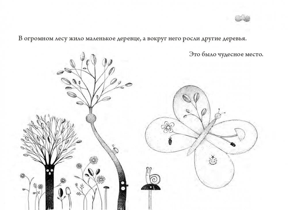 Чудесный сад фото книги 3