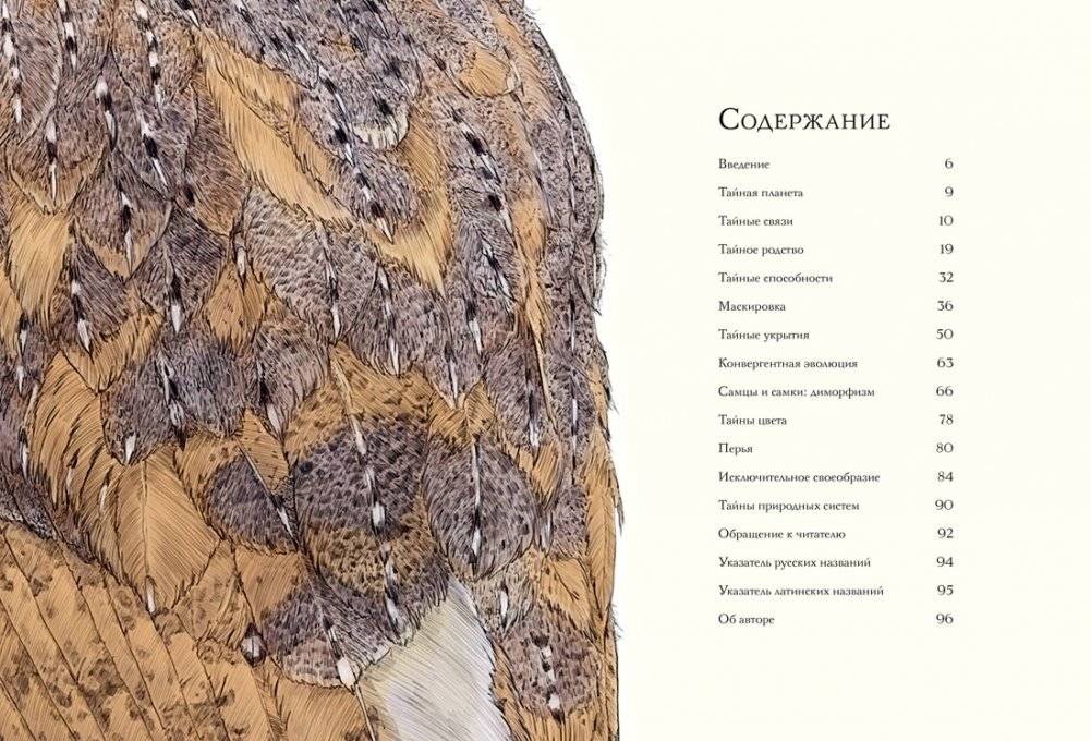Тайны дикой природы фото книги 2