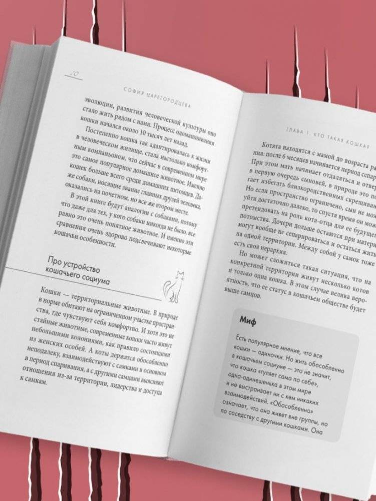 Кошачий закон и порядок. Как найти общий язык с кошкой и не стать жертвой ее капризов фото книги 5