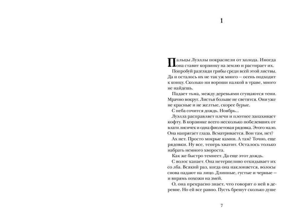 Папа Пелерин фото книги 2