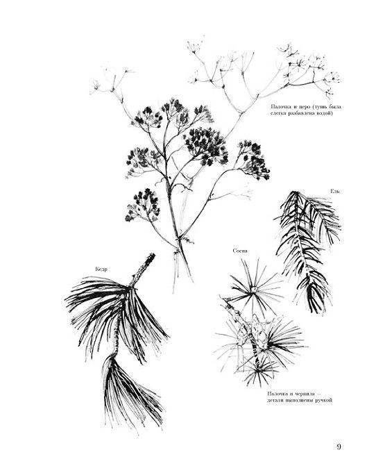 Учитесь рисовать природу фото книги 8