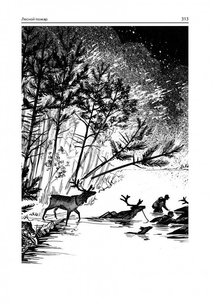 Пашка из медвежьего лога. Таежные встречи фото книги 7