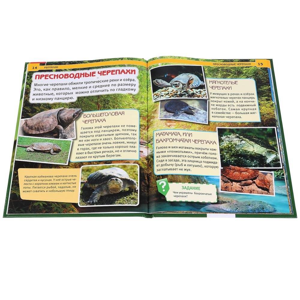 Рептилии. Энциклопедия фото книги 5