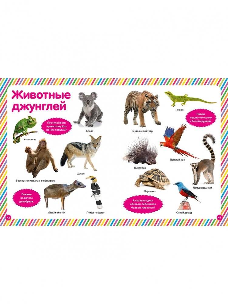 Фотокнига для малышей. Животный мир фото книги 9