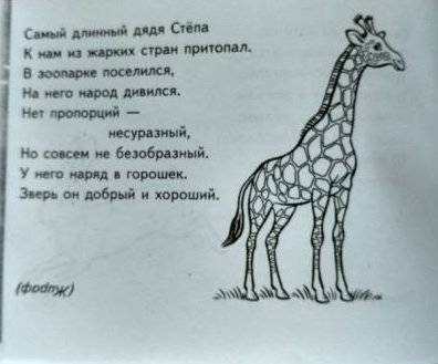 Загадки о животных фото книги 4