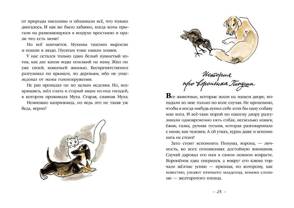 Муха с капризами. Сборник фото книги 3