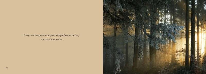 Деревья. Красота и гармония фото книги 3