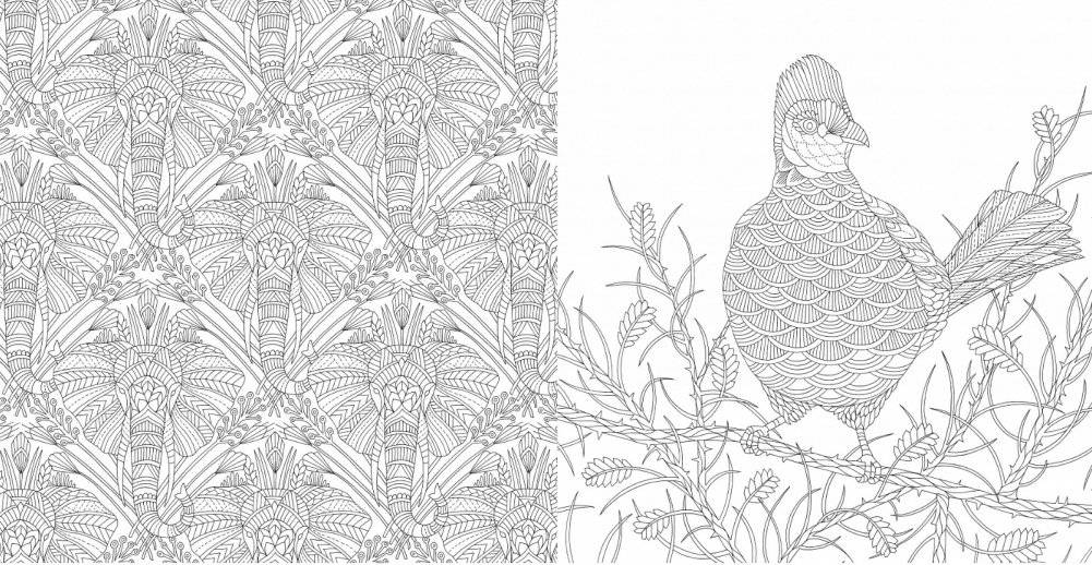 Первозданная красота. Книга для творчества и вдохновения фото книги 3