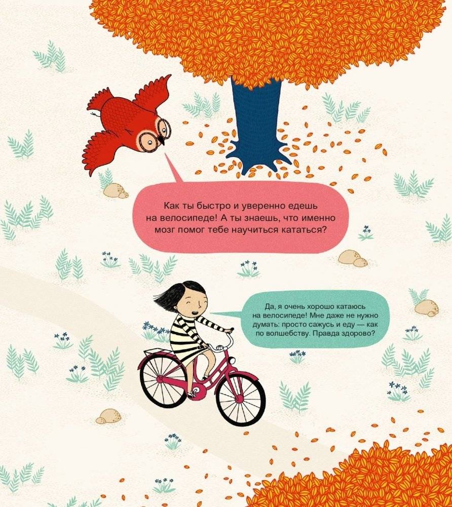 Твой мозг. Книга-экскурсия. Первое знакомство фото книги 2