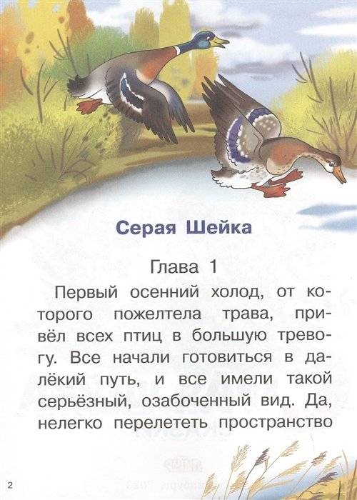 Серая шейка фото книги 3