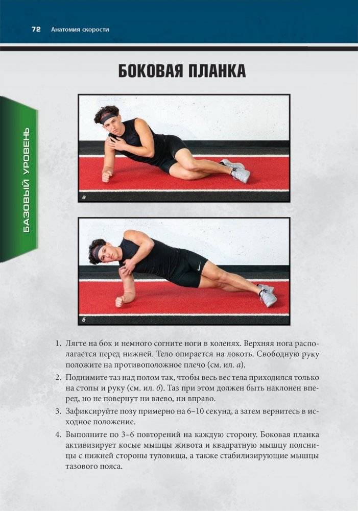 Анатомия скорости фото книги 10