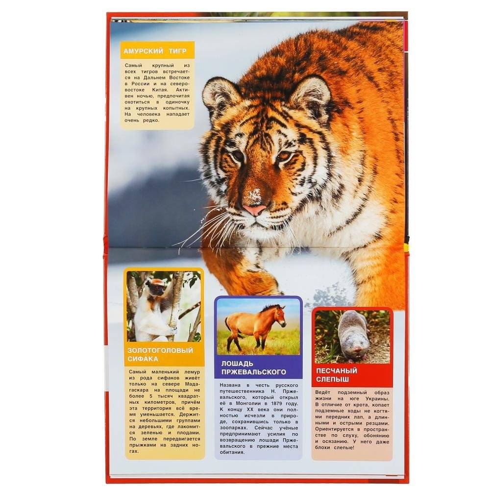 Исчезающие животные. Энциклопедия с развивающими заданиями фото книги 4