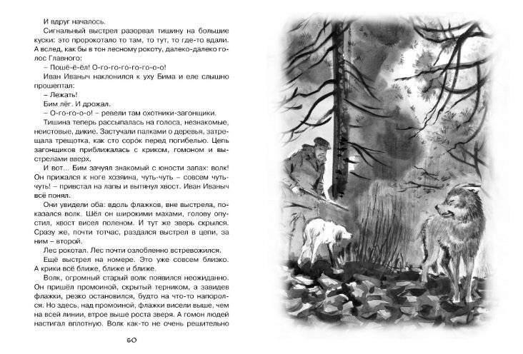 Белый Бим Черное ухо фото книги 7