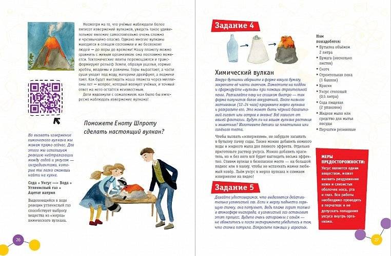 Наука для детей. Как издать научный журнал, если ты енот фото книги 4