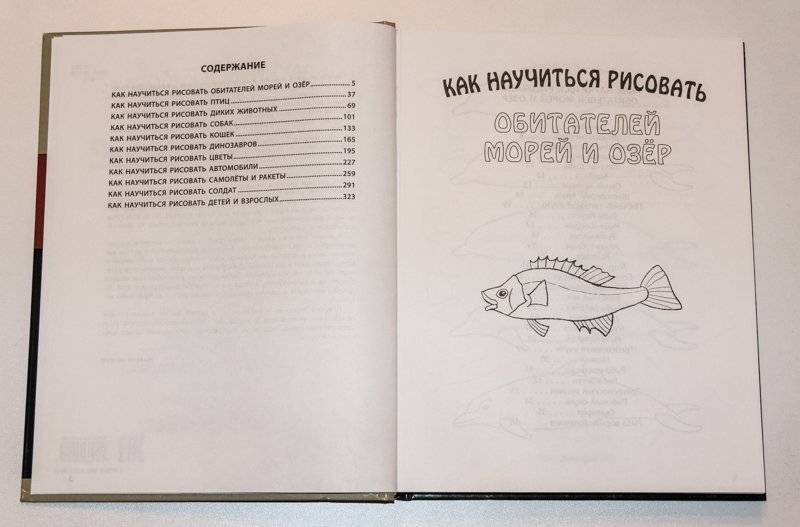 Рисование. Первые шаги фото книги 3