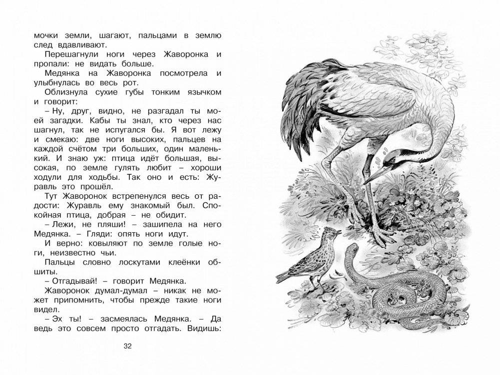 Как Лис Ежа перехитрил фото книги 4