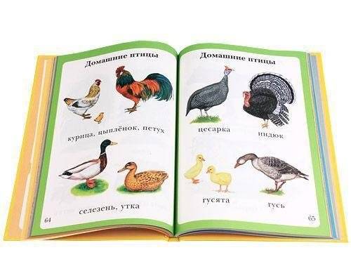 Моя первая книга фото книги 3