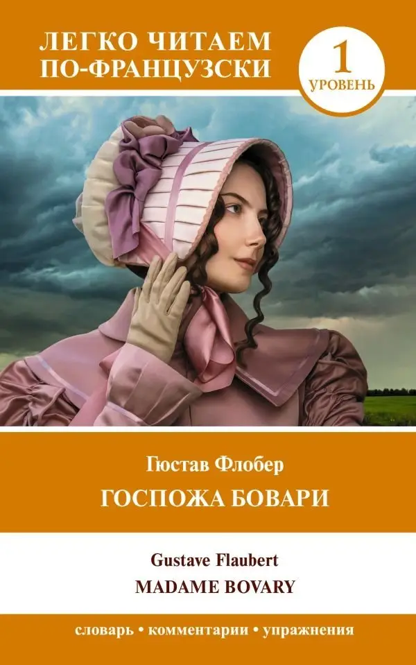 Госпожа Бовари. Уровень 1 = Madame Bovary фото книги