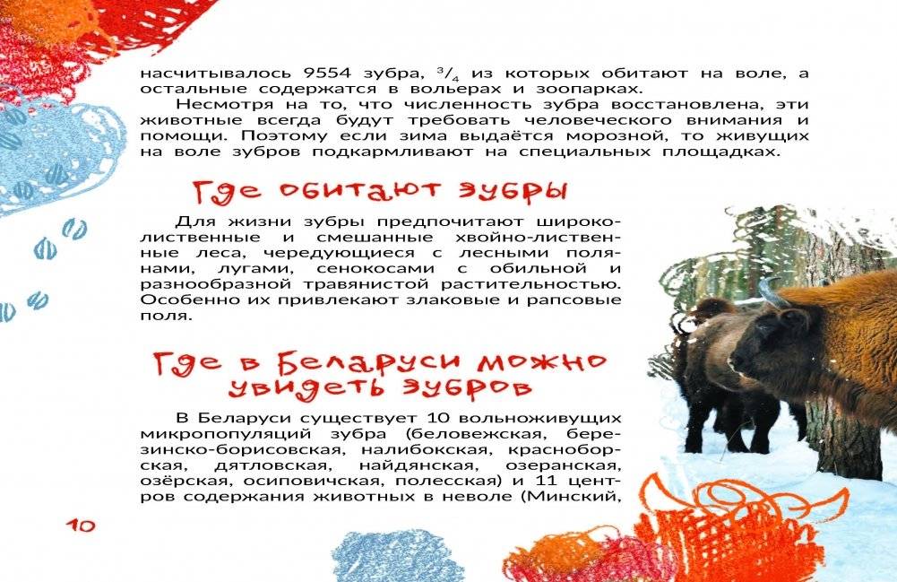 Зубр: белорусский богатырь фото книги 4