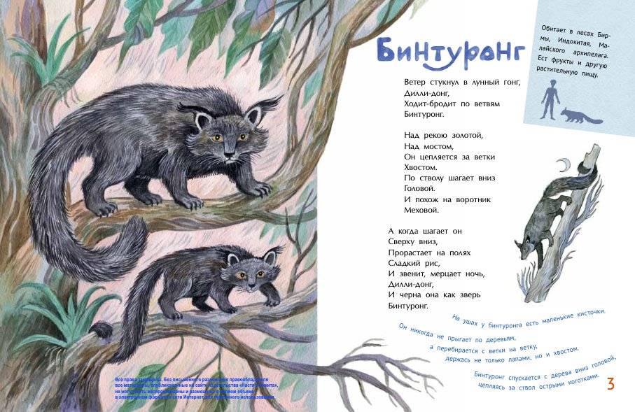 Удивительные звери фото книги 3