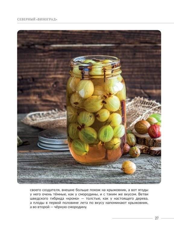 Эти невероятные плоды. Плодово-ягодные и орехоплодные культуры фото книги 4