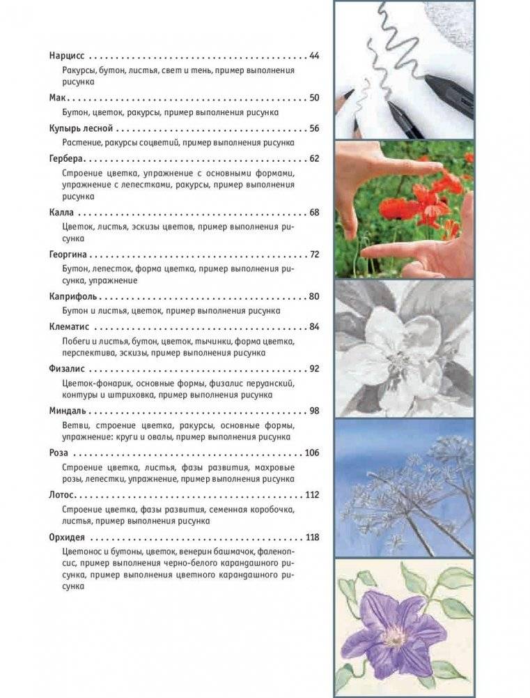 Рисование цветов от бутона до листьев. Руководство фото книги 3