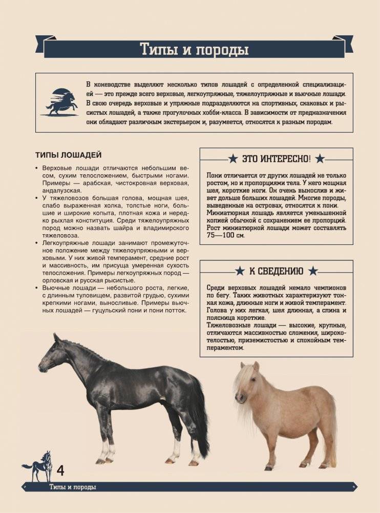Большая энциклопедия. Лошади фото книги 5