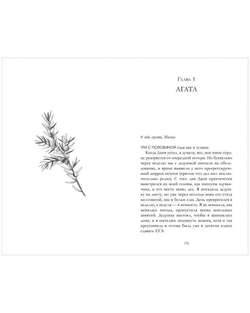 Сердце зимы фото книги 3