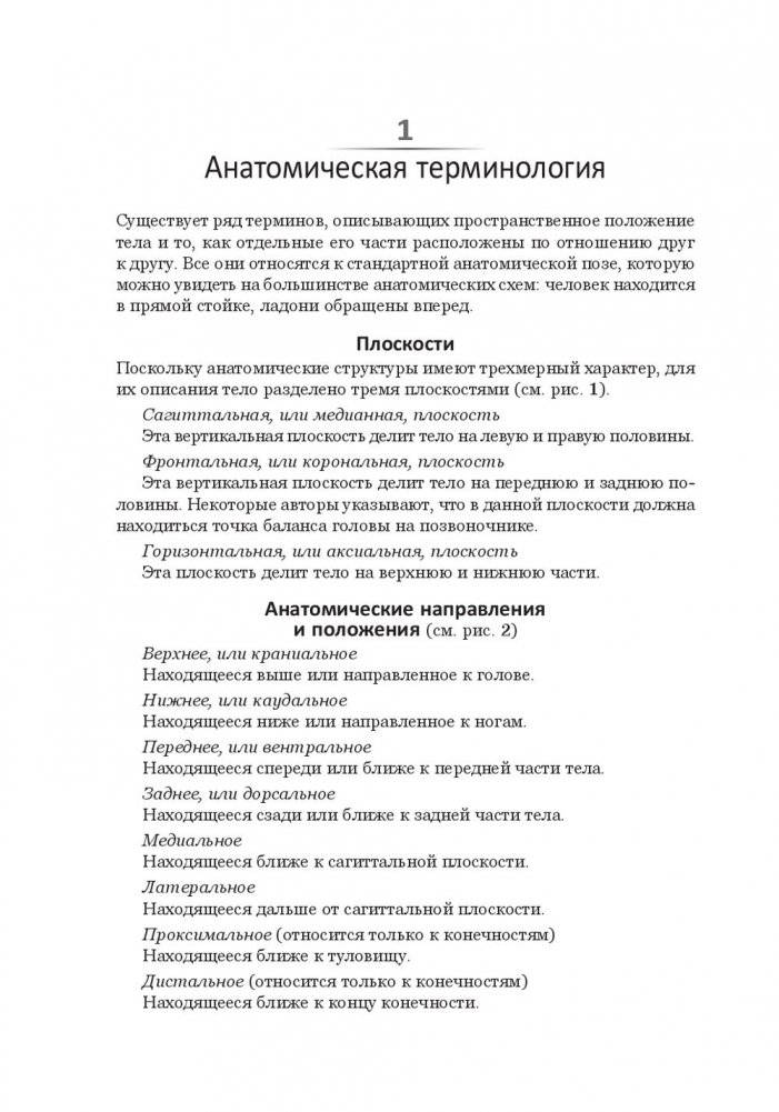 Анатомия тела в движении фото книги 15