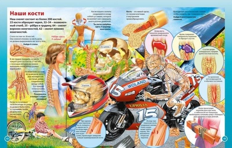 Тело человека. Первая энциклопедия для детей фото книги 8