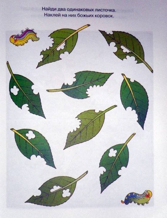 Развиваем внимание. С наклейками. Учебное пособие для детей 5-6 лет фото книги 3