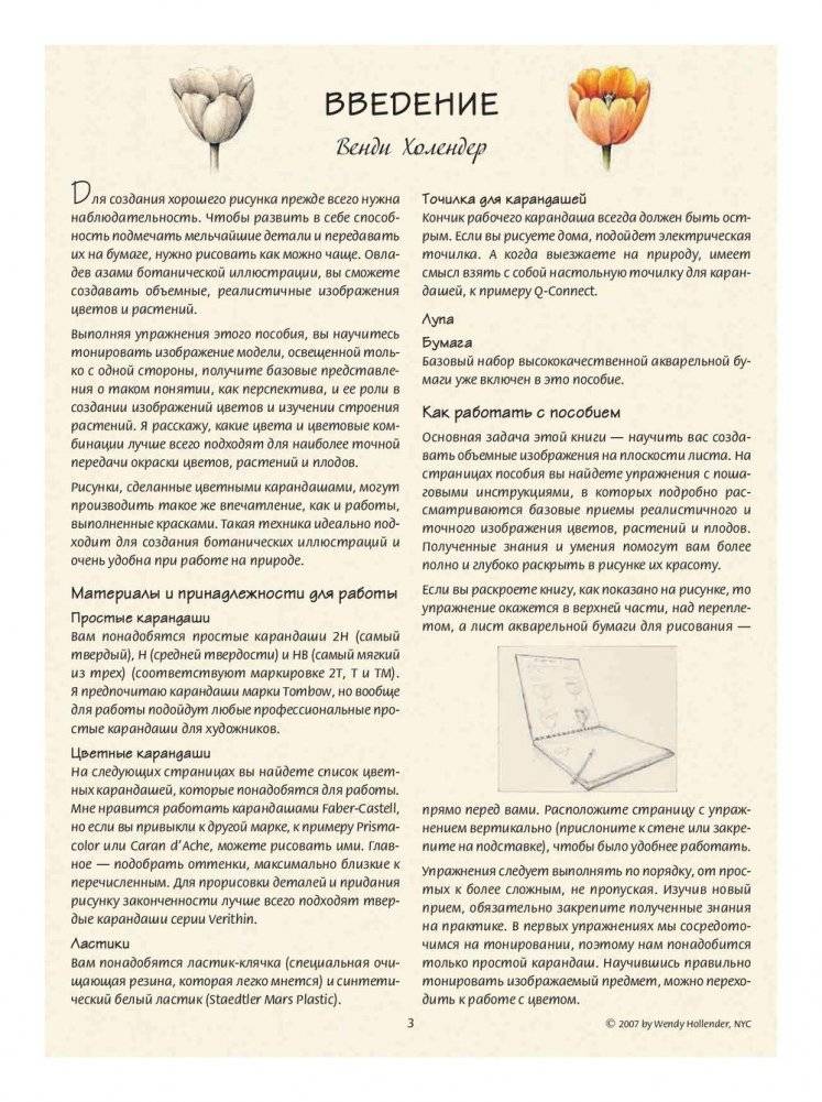 Ботаническая иллюстрация. Обучающий скетчбук фото книги 3