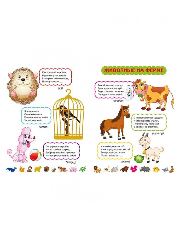 Лучшие загадки о животных фото книги 3