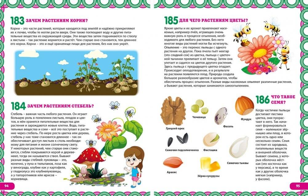 Новая энциклопедия для детей в вопросах и ответах фото книги 6