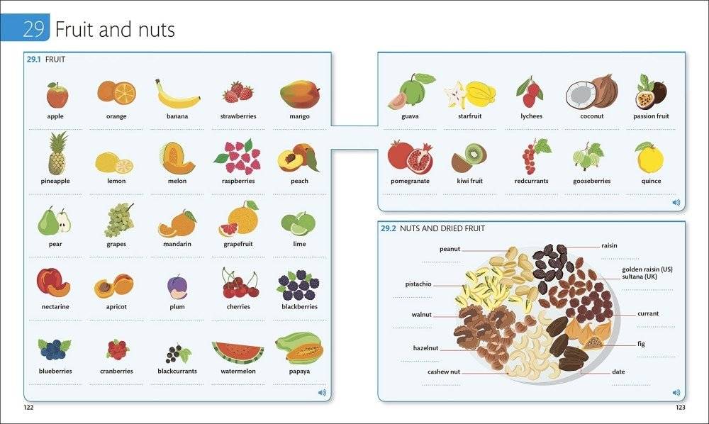English for Everyone: English Vocabulary Builder (flexibound) фото книги 3