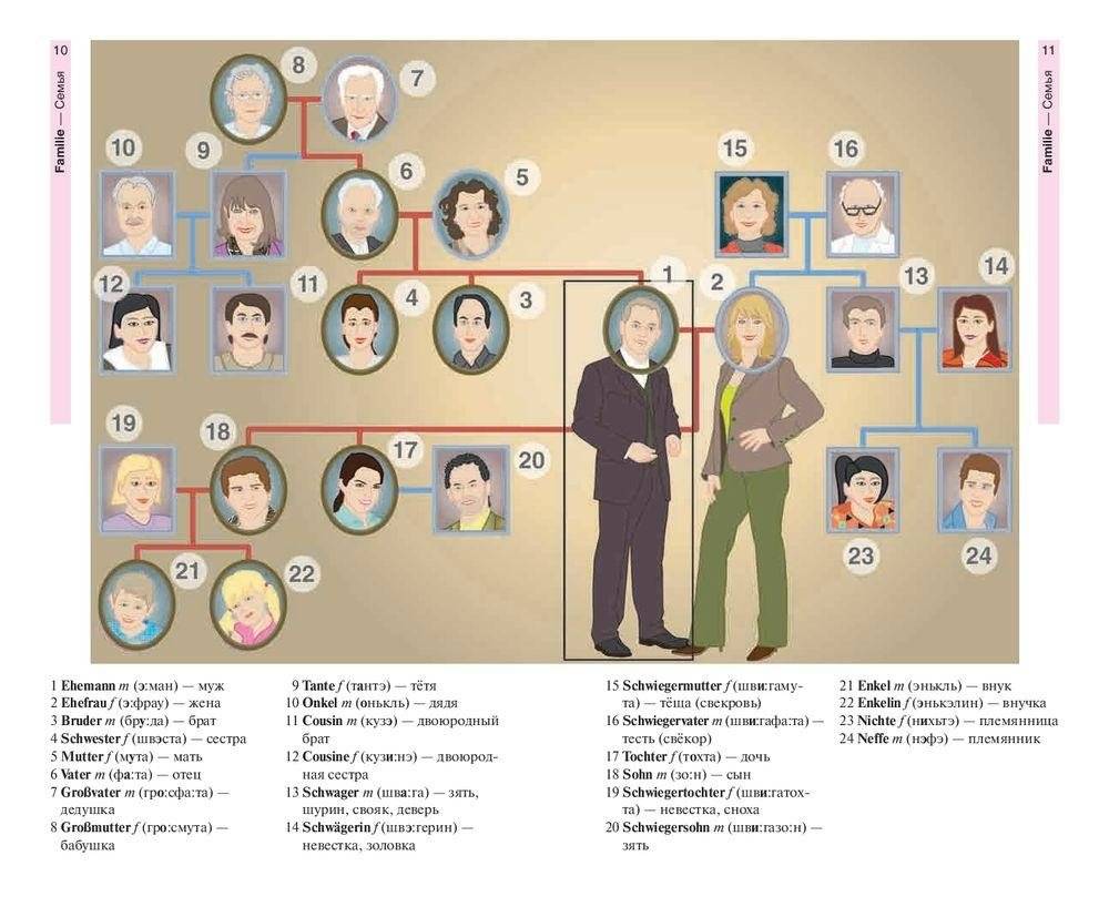 Немецкий язык в картинках. 1500 самых употребительных слов на каждый день фото книги 7