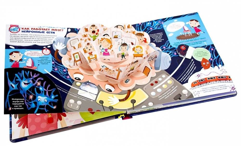Мозг. Компьютер в моей голове. Книжка-панорамка фото книги 4