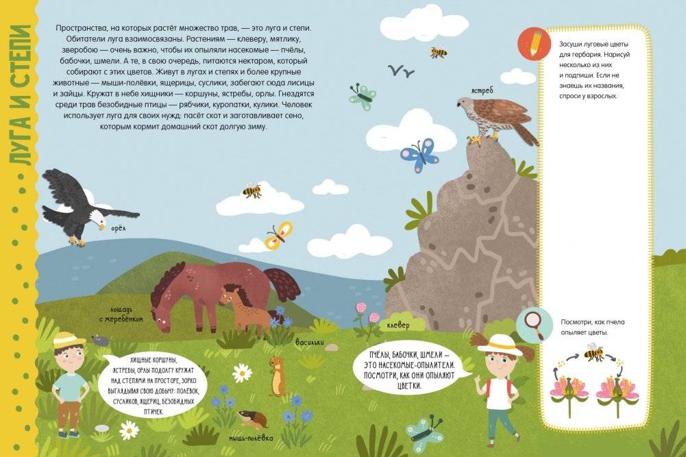 Секреты планеты Земля. Факты, задания, эксперименты фото книги 4