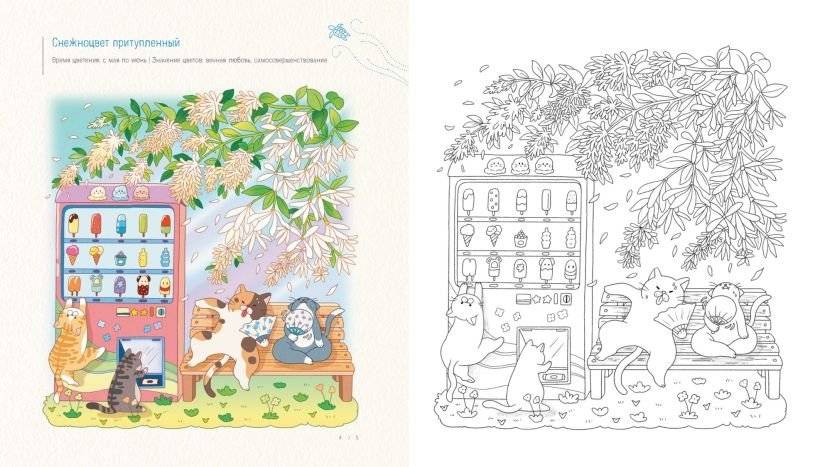 Летним днём в Корее. Раскраски-антистресс, которые подарят тёплые чувства фото книги 4