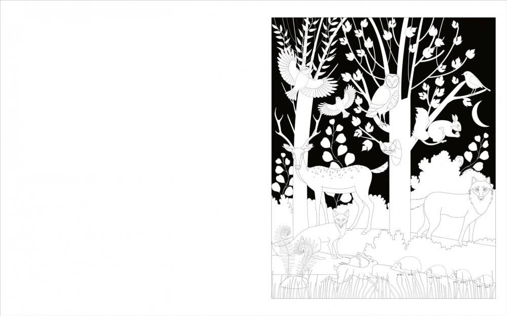 Enchanted Forest Colouring Book фото книги 3