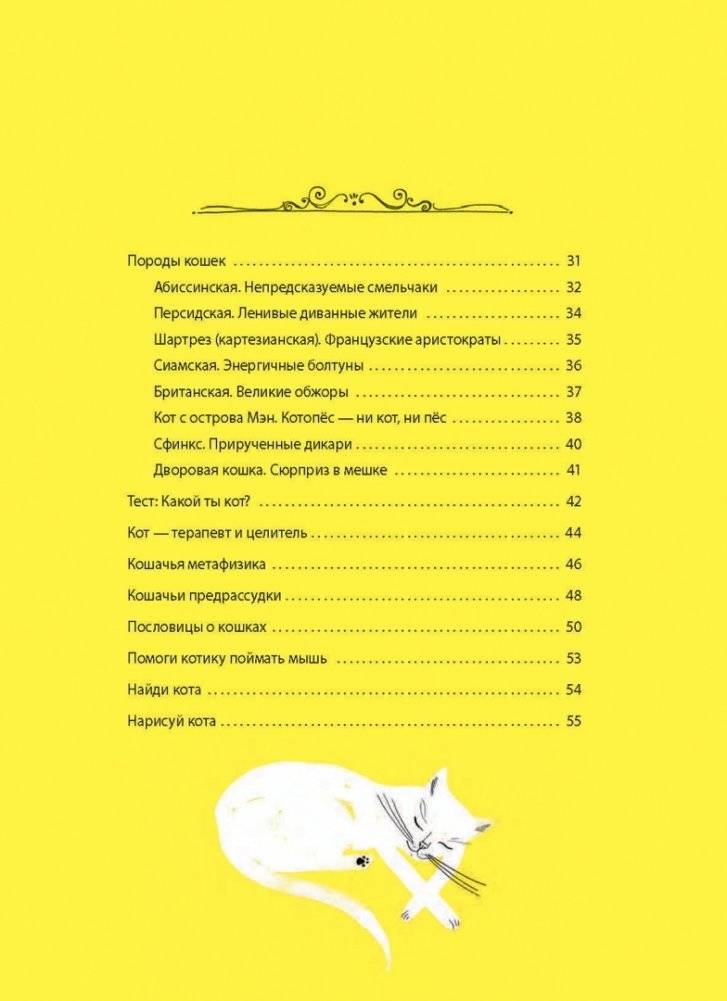 А вот и кот фото книги 3