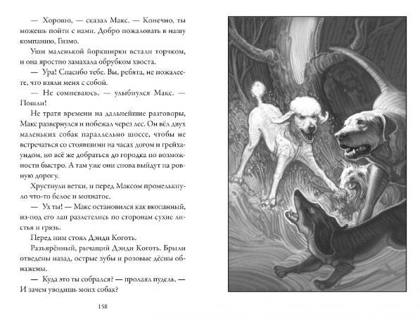 Верные. Книга 1. Когда исчезли все люди фото книги 5