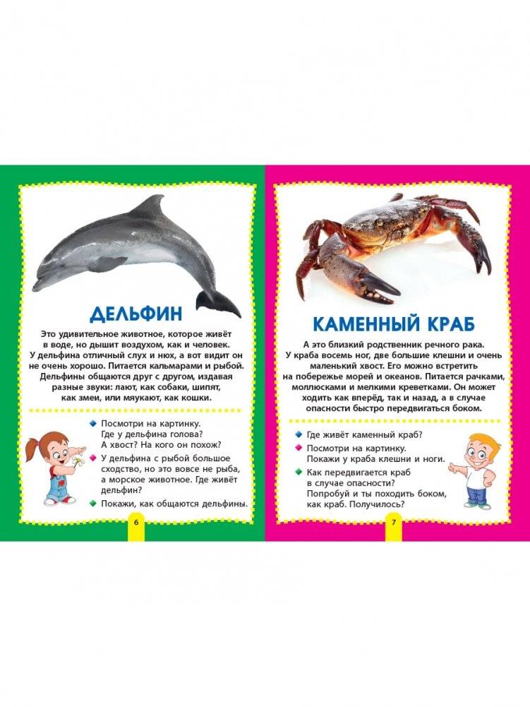 Морские обитатели. Фотокнига для самых маленьких фото книги 4