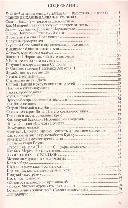 Можно ли муравью в храм входить? Занимательные рассказы для детей и родителей фото книги 2