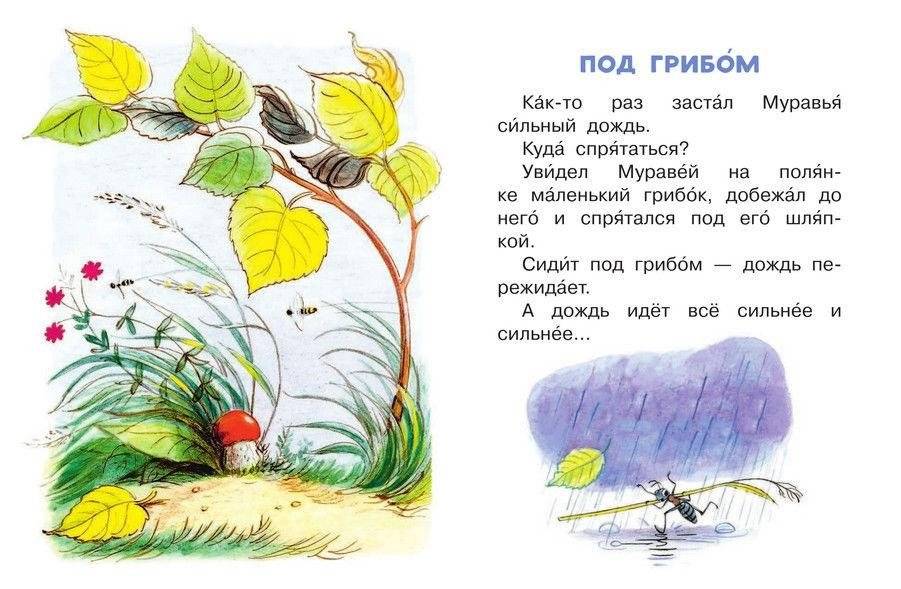 Сказки в картинках фото книги 3